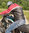 Motorradjacke von Cromwell im Racingstyle aus schwerem dreifarbigem Leder mit Protektoren in Größe L